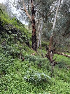 Foto von Csaba Magyarósi entlang der Tour