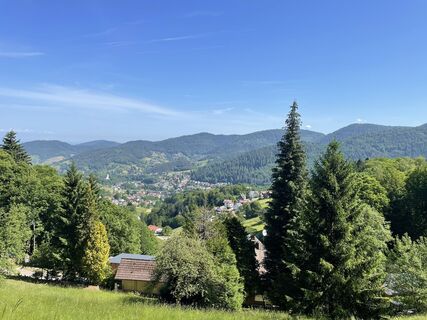 Fotografija s spletne strani Ralf Umminger na poti
