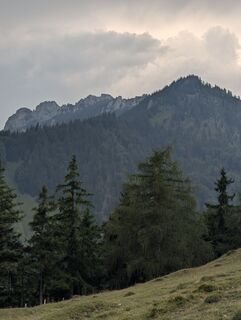 Foto von Stubi entlang der Tour