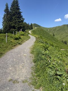 Foto von Robert Dolp entlang der Tour