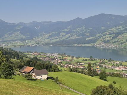 Foto von Thomi W entlang der Tour