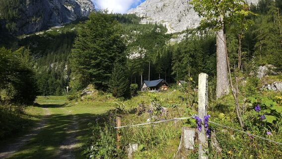 Foto från kriessda under resans gång
