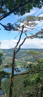 Foto von Fink Josefa entlang der Tour