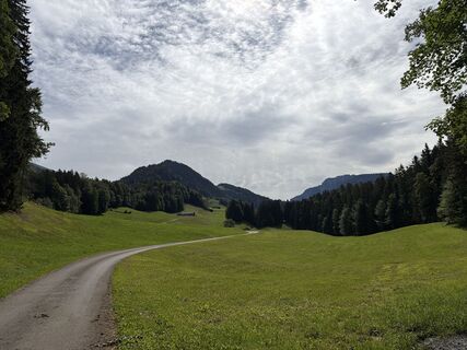Photo de Lars Klein le long du parcours