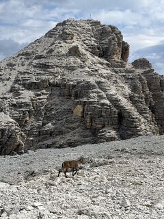 Fotografie z Stefan Otto na trase