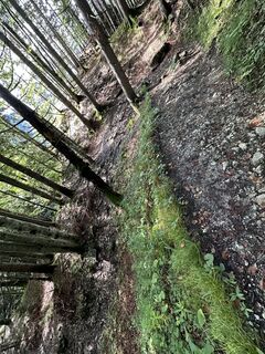 Photo de Peter biro le long du parcours