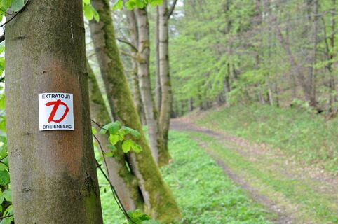 Extratour Dreienberg