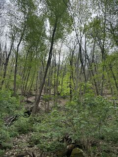 Fotografie z Vincenzo Cascio na trase