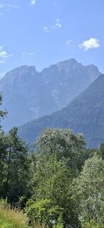 Foto von Mangolein entlang der Tour