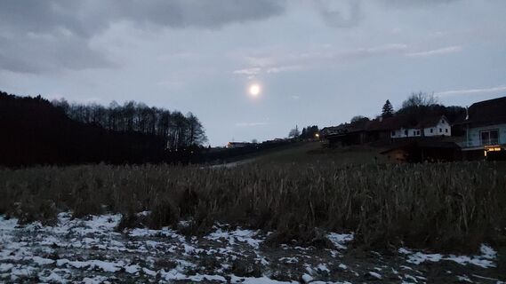 Foto von Ellsi entlang der Tour