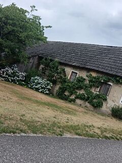 Foto von Edith K. entlang der Tour