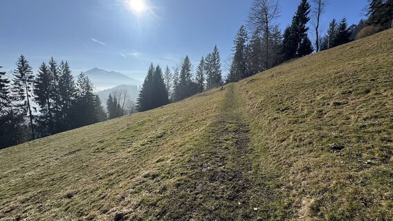 Zdjęcie z peter_oe wzdłuż trasy