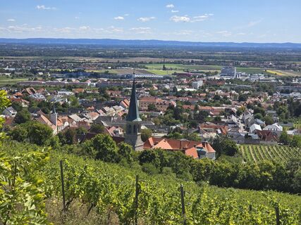 Photo de enipeus 65 le long du parcours