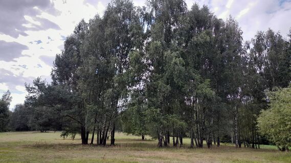 Foto von johpeterseil entlang der Tour
