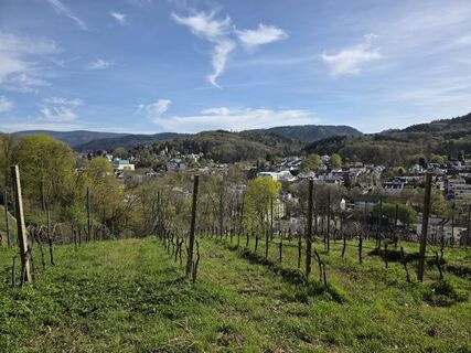 Photo de W B MA le long du parcours