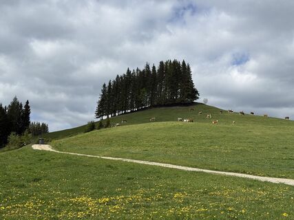 Photo de Michael Heger 1 le long du parcours