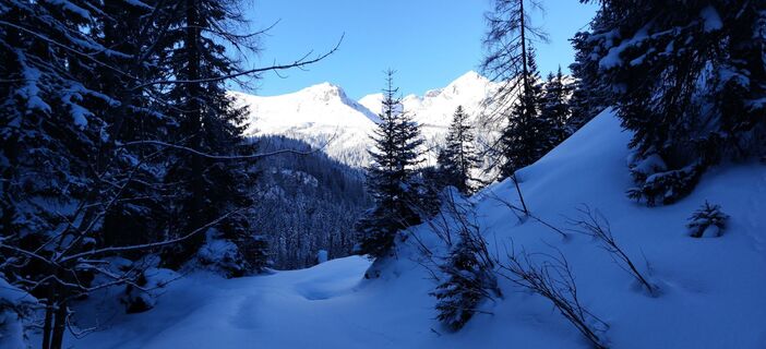 Foto von Hein Sleddens entlang der Tour