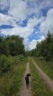 Foto von Astrid L. entlang der Tour