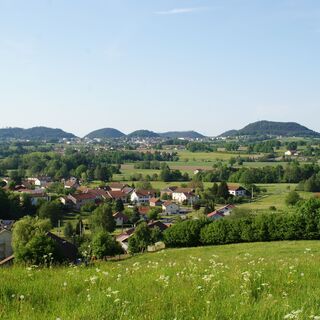 Zemljevid