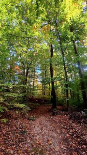 Foto von Regina Fleischmann entlang der Tour