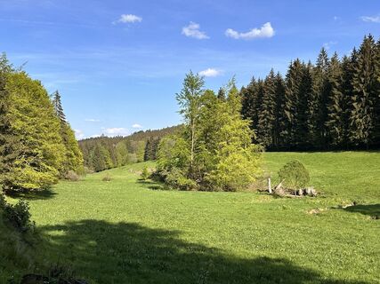 Fotografia z Norbert Herbig na trase