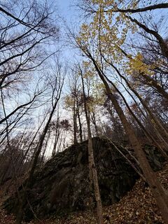 Fotografia z TallWanderBilly na trase