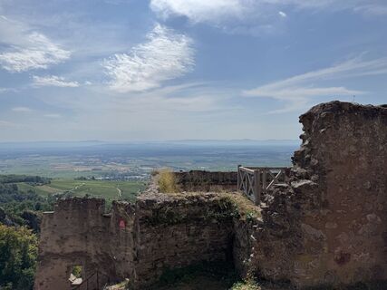 Photo de Adnan Cemal le long du parcours