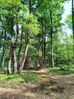 Photo de Gabi H. 1 le long du parcours