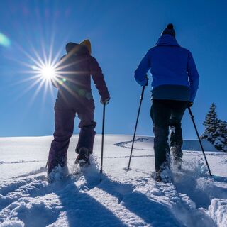 Schneeschuhwandern im Toggenburg