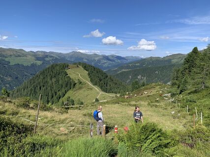 Photo de Koen De Wit le long du parcours
