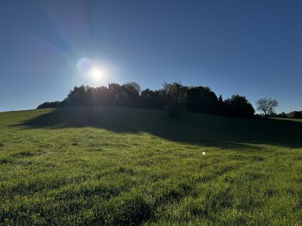Photo de Schaali le long du parcours