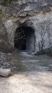 Fotografia z Bernard na trase