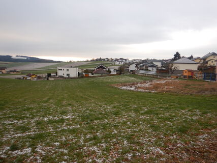 Fotografija s spletne strani Flora 1952 na poti