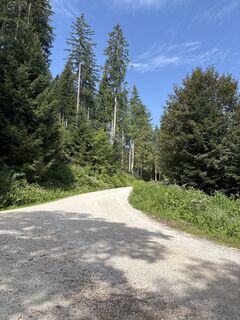 Foto von Heinz Sperl entlang der Tour
