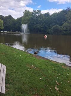 Photo de Wiffwagener le long du parcours