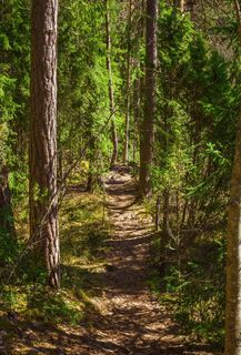 Hämeenlinna/ Aulanko, Finnland