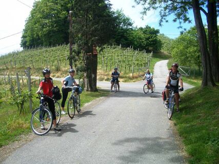Radfahrer unterwegs auf dem Weinlandradweg