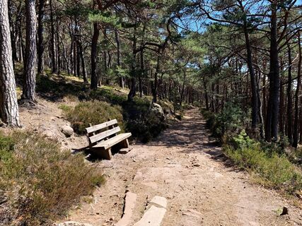 Ruhebank mit Blick zur Kalmit