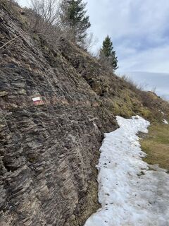 Fotografie z Alberto Ghiretti na trase
