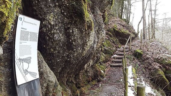Engenlochschlucht Wasserwanderweg Hittisau