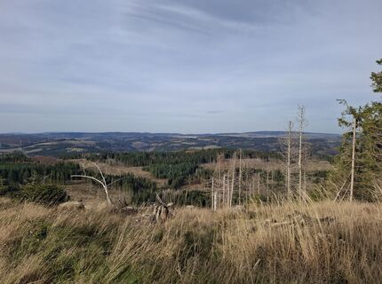 Foto von Karin-Wandert entlang der Tour