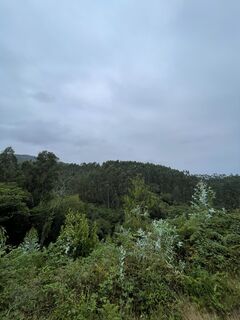 Foto von Döbröczöni Csaba entlang der Tour