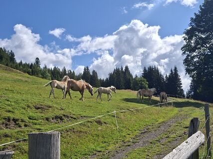 Photo de Filou und Luna le long du parcours