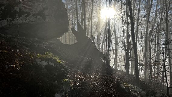 Photo de Sehcup le long du parcours