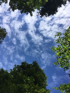 Foto de Ralf Umminger a lo largo del recorrido