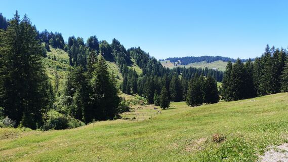 Foto von Gerhard Gössinger entlang der Tour