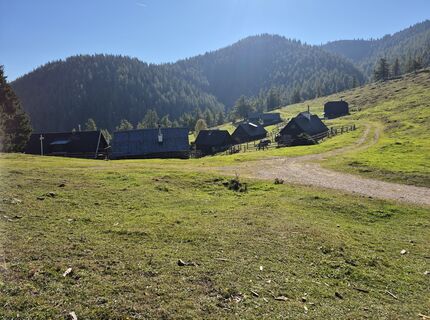 Foto von Maria Punz 1 entlang der Tour