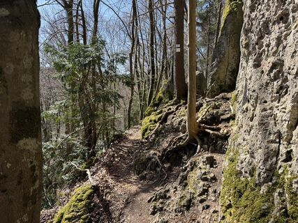Foto de Norbert Herbig a lo largo del recorrido