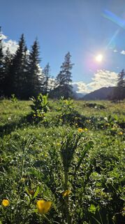 Photo de Klementina Gartner le long du parcours