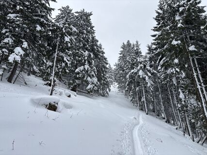 Foto von Heinz Sperl entlang der Tour